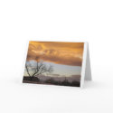 Midwinter V (notecard)
