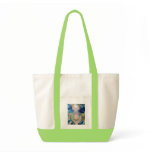 Midwives green bag