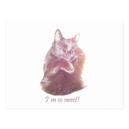 Miezekatze Postkarten