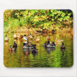 "Migratory Waterfowl" mouse pad mousepads