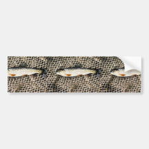 Mikes Trout Bumper Sticker
