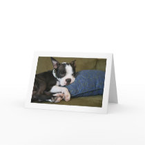 Miley is annoyed card