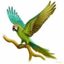 Military Macaw Holiday Ornament