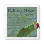 Military Macaw Magnet