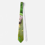 Military Macaw Tie