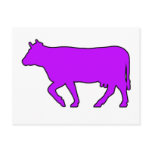 Milk Cow Silhouette Beef Cattle Moo Bull Steer postcards