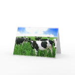 Milk Cows in Green Feild Greeting Card