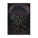 Milk Thistle Post Cards