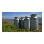 Milk urns
