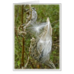 Milkweed Seeds Coordinating Items Greeting Card