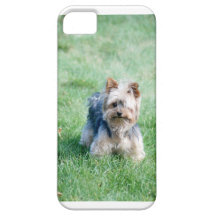 Millee iPhone 5 Cover