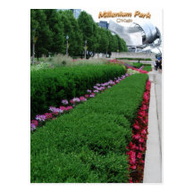 Millenium Park Flowers Post Card
