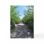 'Millenium Walk' Notecard