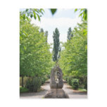 'Millenium Walk' Postcard