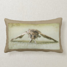 Miller Moth Pillows