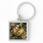 Millipede Polydesmida (Sigmoria aberrans) Items keychains