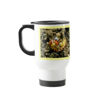 Millipede Polydesmida (Sigmoria aberrans) Items Coffee Mug