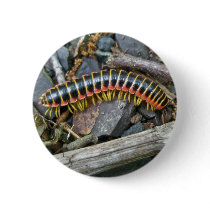 Millipede Series Items Pins