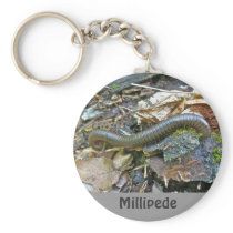 Millipede Series Items Key Chains