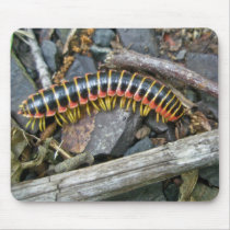 Millipede Series Items Mouse Mats