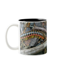 Millipede Series Items Mug