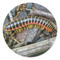 Millipede Series Items Round Stickers