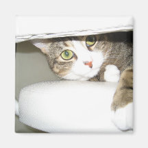 Mimi Magnet