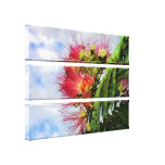 Mimosa Flowers Wrapped Canvas canvas prints