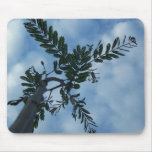 Mimosa Leaves on Cloudy Sky Mousepad