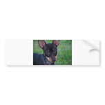 Min Pin bumper sticker