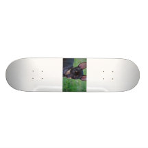 Min Pin skateboard