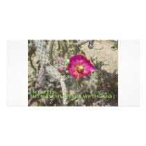 MIND FOSSILS CACTI BITE PHOTO CARD