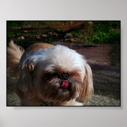 Mindy Poster