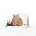 Mine!! cards