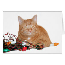 Mine!! Greeting Cards