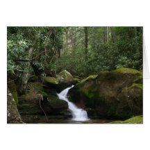 Mineral Creek Falls Greeting Card