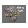 Minerals Rock Collectors Funny Postcard