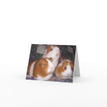 Minerva and Friends Notecard