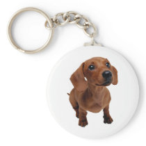 Mini Dachshund Keyring Key Chains