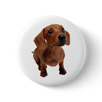 Mini Dachshund Pin