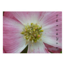 Mini Flower Notecard Business Cards