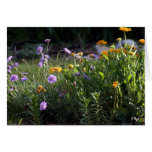 Mini Garden, S Cyr Cards