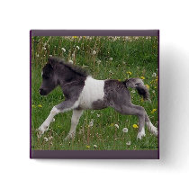 Mini Horse Buttons