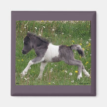 Mini Horse Magnet