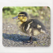Mini Mallard Mousemat Mouse Pad