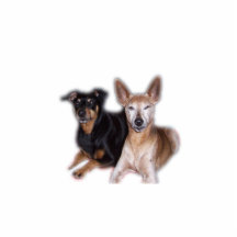 mini-pinchers photo cutouts
