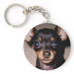 mini pinscher. keychains