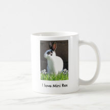 Mini Rex Coffee Mug