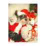 Mini Schnauzer X'mas Postcard