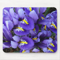 Miniature Blue Irises Mousepad